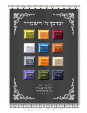 פרוכת ארון קודש מבית מתניה עם רקמה איכותית ואומנותית תלת‑ממדית