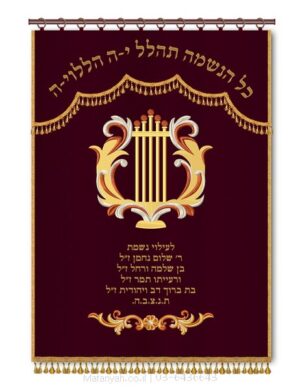 פרוכת ארון קודש מבית מתניה עם רקמה איכותית ואומנותית תלת‑ממדית