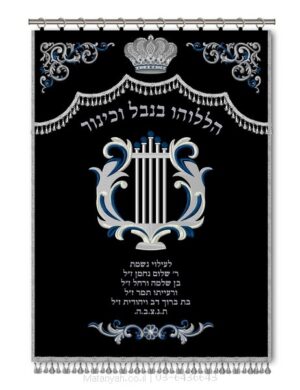 פרוכת ארון קודש מבית מתניה עם רקמה איכותית ואומנותית תלת‑ממדית