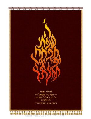 פרוכת ארון קודש מבית מתניה עם רקמה איכותית ואומנותית תלת‑ממדית