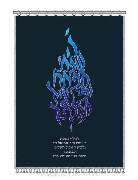 פרוכת ארון קודש מבית מתניה עם רקמה איכותית ואומנותית תלת‑ממדית