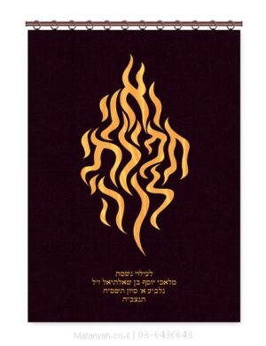 פרוכת ארון קודש מבית מתניה עם רקמה איכותית ואומנותית תלת‑ממדית