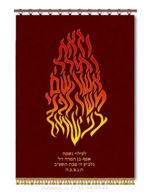 פרוכת ארון קודש מבית מתניה עם רקמה איכותית ואומנותית תלת‑ממדית