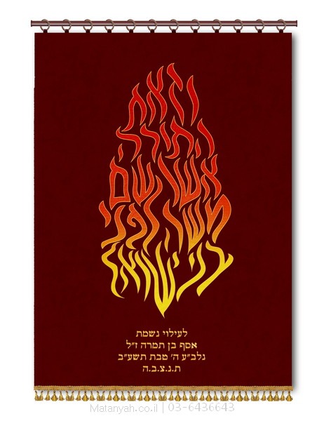 פרוכת ארון קודש מבית מתניה עם רקמה איכותית ואומנותית תלת‑ממדית