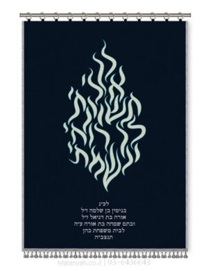 פרוכת ארון קודש מבית מתניה עם רקמה איכותית ואומנותית תלת‑ממדית