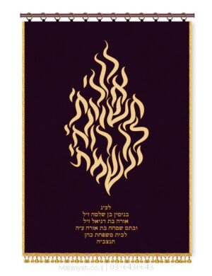 פרוכת ארון קודש מבית מתניה עם רקמה איכותית ואומנותית תלת‑ממדית