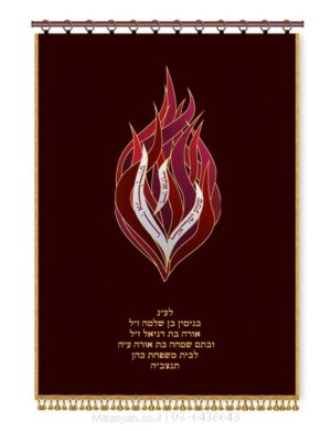 פרוכת ארון קודש מבית מתניה עם רקמה איכותית ואומנותית תלת‑ממדית