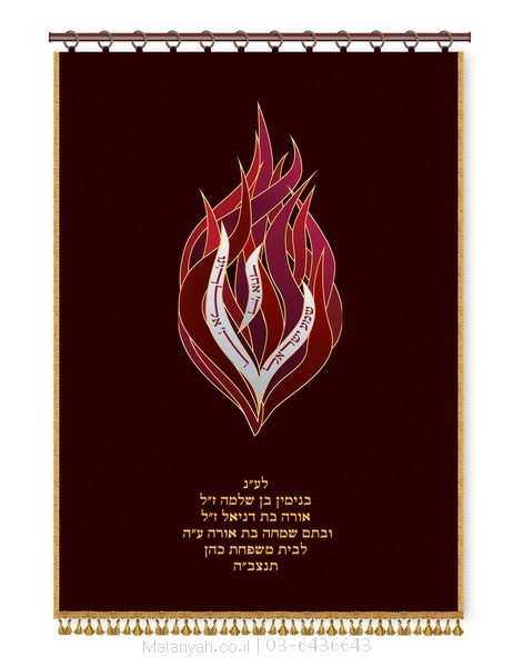 פרוכת ארון קודש מבית מתניה עם רקמה איכותית ואומנותית תלת‑ממדית