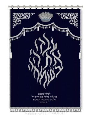פרוכת ארון קודש מבית מתניה עם רקמה איכותית ואומנותית תלת‑ממדית