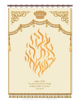 פרוכת ארון קודש מבית מתניה עם רקמה איכותית ואומנותית תלת‑ממדית