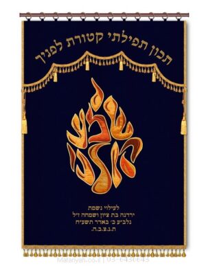פרוכת ארון קודש מבית מתניה עם רקמה איכותית ואומנותית תלת‑ממדית