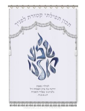 פרוכת ארון קודש מבית מתניה עם רקמה איכותית ואומנותית תלת‑ממדית