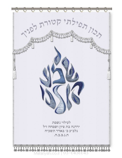 פרוכת ארון קודש מבית מתניה עם רקמה איכותית ואומנותית תלת‑ממדית