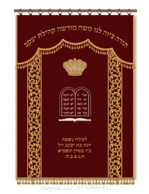 פרוכת ארון קודש מבית מתניה עם רקמה איכותית ואומנותית תלת‑ממדית