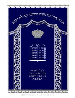 פרוכת ארון קודש מבית מתניה עם רקמה איכותית ואומנותית תלת‑ממדית