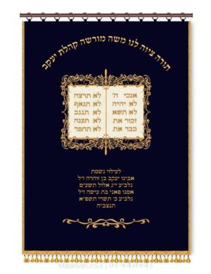 פרוכת ארון קודש מבית מתניה עם רקמה איכותית ואומנותית תלת‑ממדית