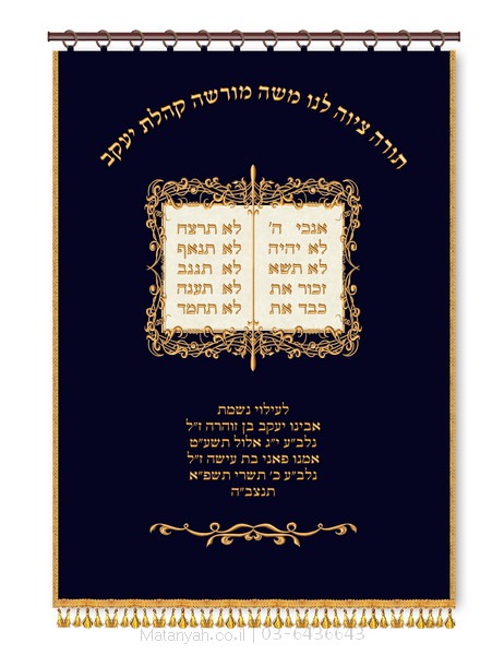 פרוכת לוחות מפוארות כחול פרוכת ארון קודש מבית מתניה עם רקמה איכותית ואומנותית תלת‑ממדית