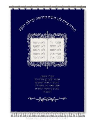 פרוכת ארון קודש מבית מתניה עם רקמה איכותית ואומנותית תלת‑ממדית