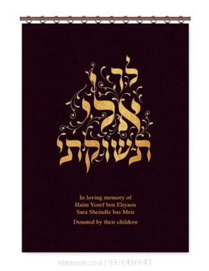 פרוכת ארון קודש מבית מתניה עם רקמה איכותית ואומנותית תלת‑ממדית