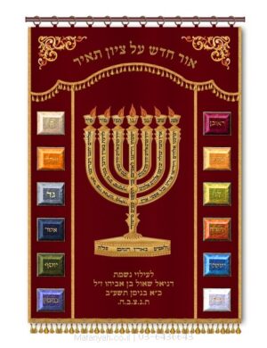 פרוכת ארון קודש מבית מתניה עם רקמה איכותית ואומנותית תלת‑ממדית