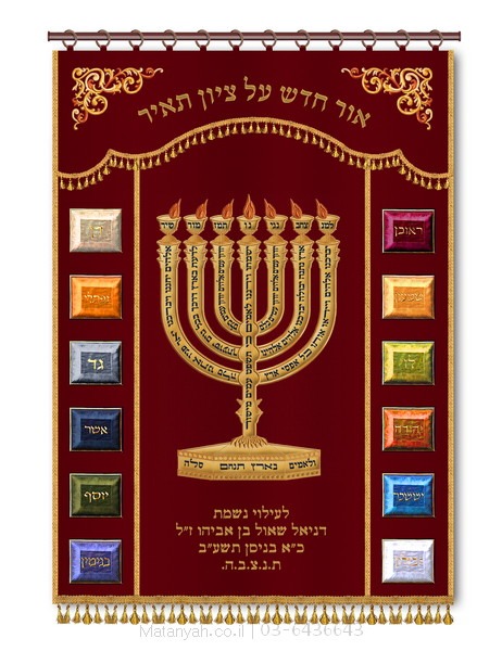 פרוכת ארון קודש מבית מתניה עם רקמה איכותית ואומנותית תלת‑ממדית