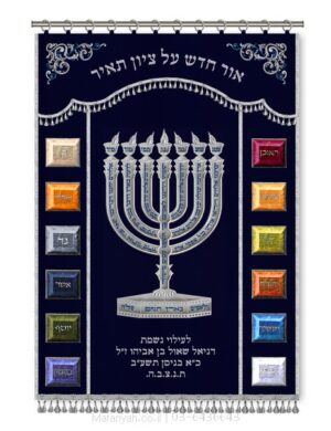 פרוכת ארון קודש מבית מתניה עם רקמה איכותית ואומנותית תלת‑ממדית