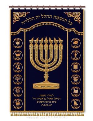 פרוכת ארון קודש מבית מתניה עם רקמה איכותית ואומנותית תלת‑ממדית