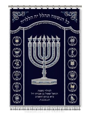 פרוכת ארון קודש מבית מתניה עם רקמה איכותית ואומנותית תלת‑ממדית