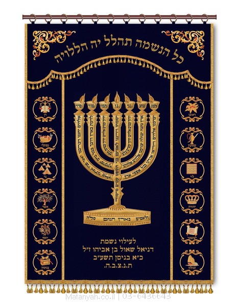 parochet for a new app and clan conductor Aron Kodesh Parochial Shroud from Matanya with high-quality, artistic 3D embroidery