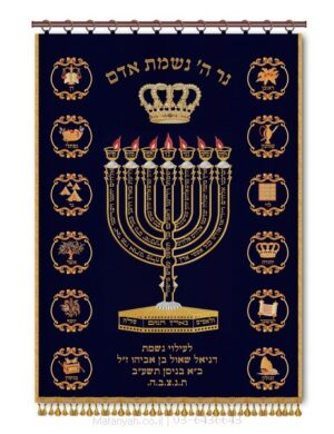פרוכת ארון קודש מבית מתניה עם רקמה איכותית ואומנותית תלת‑ממדית