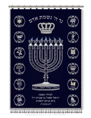 פרוכת ארון קודש מבית מתניה עם רקמה איכותית ואומנותית תלת‑ממדית