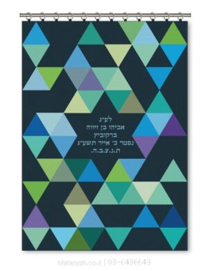 פרוכת ארון קודש מבית מתניה עם רקמה איכותית ואומנותית תלת‑ממדית