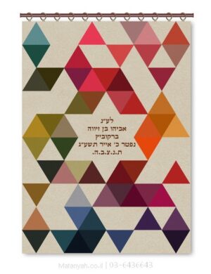 פרוכת ארון קודש מבית מתניה עם רקמה איכותית ואומנותית תלת‑ממדית