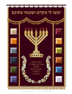 פרוכת ארון קודש מבית מתניה עם רקמה איכותית ואומנותית תלת‑ממדית