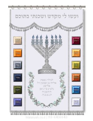 פרוכת ארון קודש מבית מתניה עם רקמה איכותית ואומנותית תלת‑ממדית
