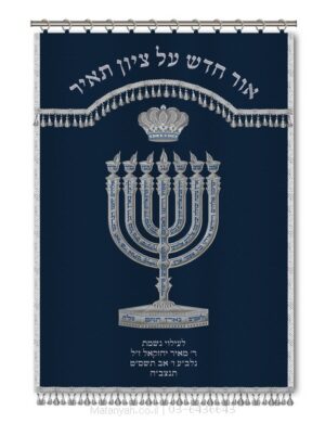פרוכת ארון קודש מבית מתניה עם רקמה איכותית ואומנותית תלת‑ממדית