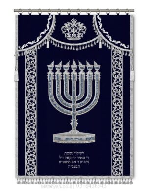 פרוכת ארון קודש מבית מתניה עם רקמה איכותית ואומנותית תלת‑ממדית