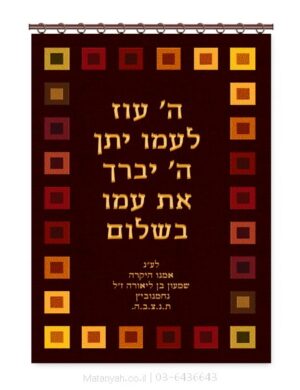 פרוכת ארון קודש מבית מתניה עם רקמה איכותית ואומנותית תלת‑ממדית