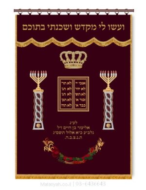 פרוכת ארון קודש מבית מתניה עם רקמה איכותית ואומנותית תלת‑ממדית