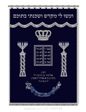 פרוכת ארון קודש מבית מתניה עם רקמה איכותית ואומנותית תלת‑ממדית