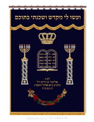 פרוכת ארון קודש מבית מתניה עם רקמה איכותית ואומנותית תלת‑ממדית