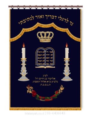 פרוכת ארון קודש מבית מתניה עם רקמה איכותית ואומנותית תלת‑ממדית