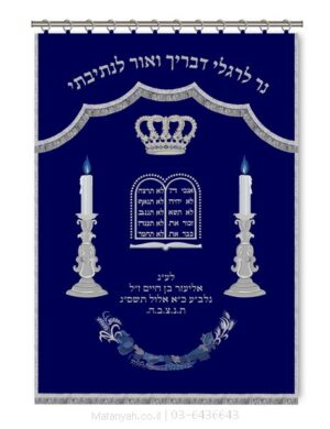פרוכת ארון קודש מבית מתניה עם רקמה איכותית ואומנותית תלת‑ממדית