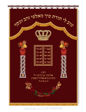פרוכת ארון קודש מבית מתניה עם רקמה איכותית ואומנותית תלת‑ממדית
