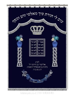 פרוכת ארון קודש מבית מתניה עם רקמה איכותית ואומנותית תלת‑ממדית