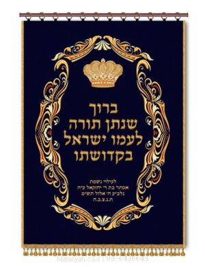 פרוכת ארון קודש מבית מתניה עם רקמה איכותית ואומנותית תלת‑ממדית