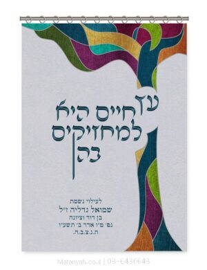 פרוכת ארון קודש מבית מתניה עם רקמה איכותית ואומנותית תלת‑ממדית