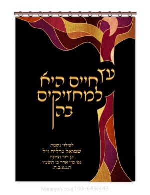 פרוכת ארון קודש מבית מתניה עם רקמה איכותית ואומנותית תלת‑ממדית