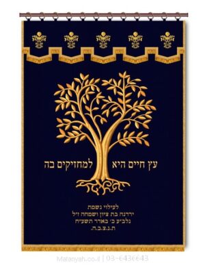 פרוכת ארון קודש מבית מתניה עם רקמה איכותית ואומנותית תלת‑ממדית