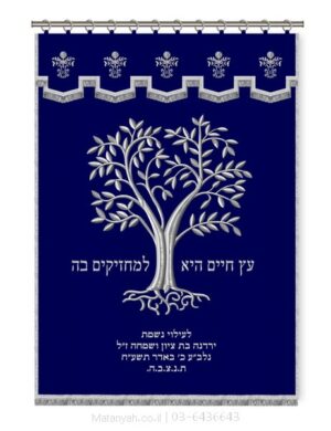 פרוכת ארון קודש מבית מתניה עם רקמה איכותית ואומנותית תלת‑ממדית